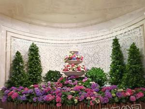 某酒店花卉绿植组合造景案例