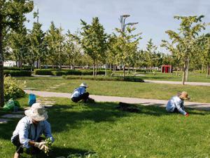  成都某公园绿化养护管理事项