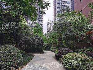 成都紫东芯座小区绿化养护管理案例