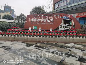 成都某汽车客运站花草租赁摆放组盆