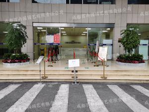 成都写字楼花卉植物租摆组团造景