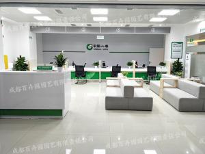  人寿保险集团成都办公室植物租赁案例效果图