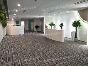 某公司成都办公室绿植租摆案例 