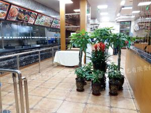 成都某餐厅花卉租摆案例