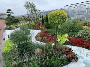 成都花境景观设计植物配置方案