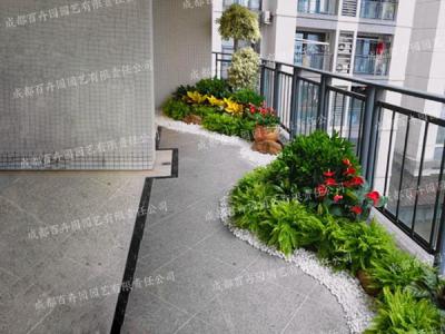 成都写字楼花卉植物租赁造型组景