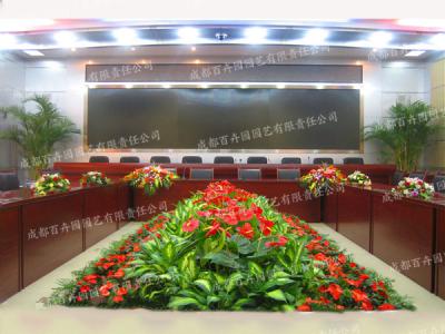  会议成都花草绿植租赁组合造景