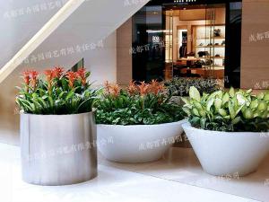 组景造型绿植租摆