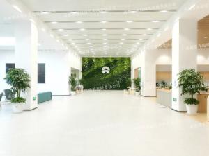  汽车4S店植物租赁方案