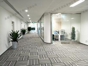  成都办公室走廊植物租赁方案