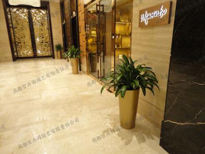  酒店电梯厅植物租赁方案