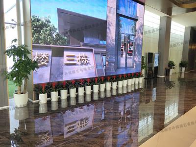  售楼部植物租赁方案