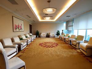  办公室贵宾室植物租赁方案