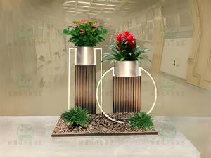 成都植物租赁造型组景