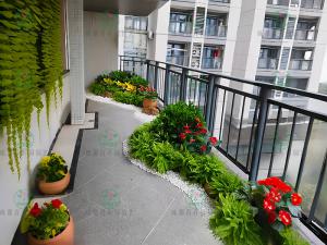 成都植物租赁造型组景