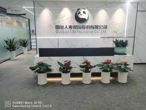  成都办公室植物租摆-公司办公室植物租摆案例实景图