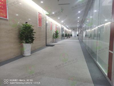  成都办公室植物租摆-某公司办公室植物租摆案例实景图