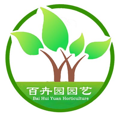 成都百卉园园艺有限责任公司