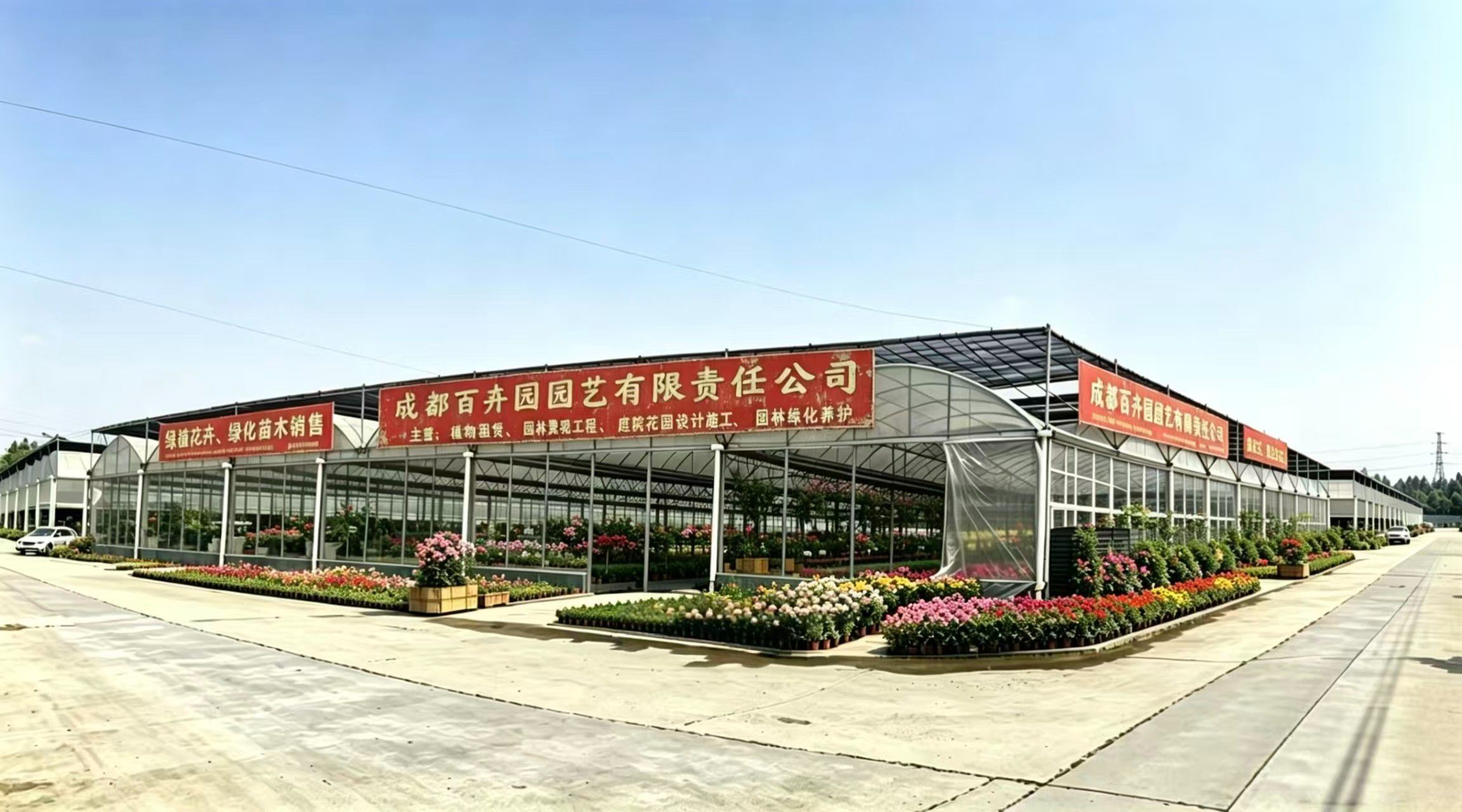 成都百卉园园艺有限责任公司-植物租赁_庭院花园设计施工_园林绿化工程施工与养护 成都百卉园园艺有限责任公司-植物租赁_庭院花园设计施工_园林绿化工程施工与养护